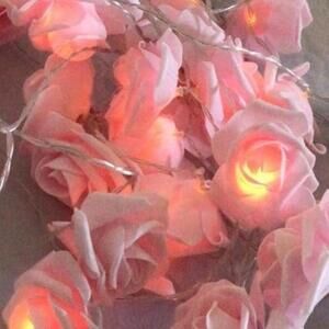 Pink Rose String Lights Set BNWT